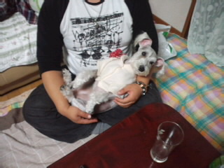 ́u^rNvi疺j