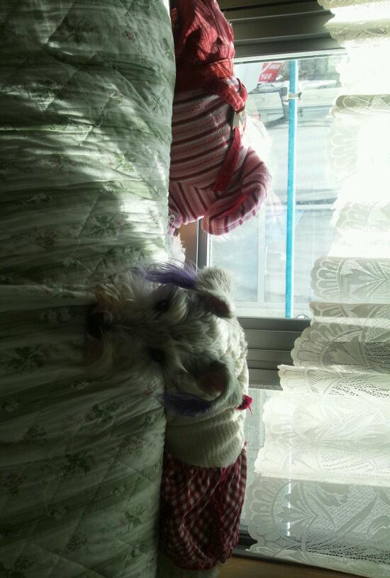 �����́u���^�r�N�v�i�������疺�j