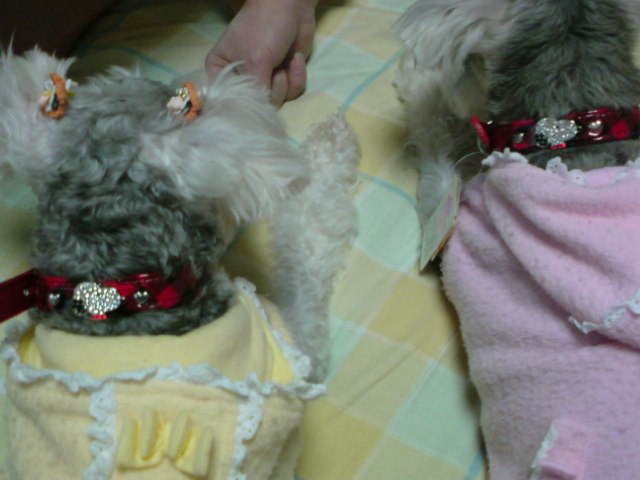 �����́u���^�r�N�v�i�������疺�j