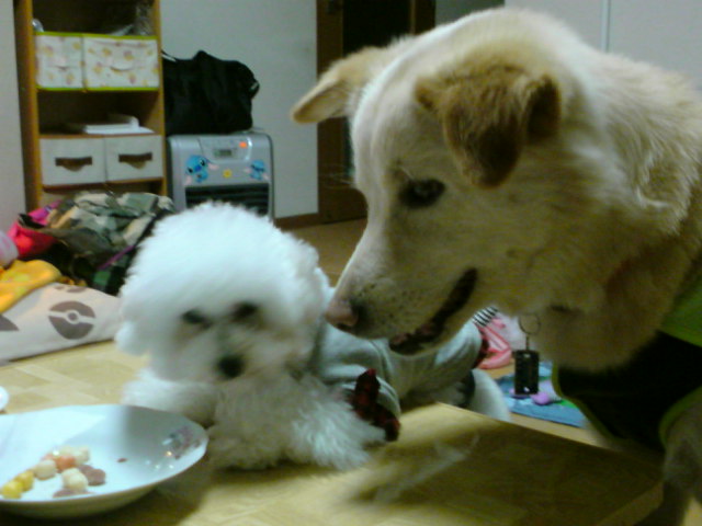 ́u^rNvi疺j