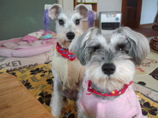 �����́u���^�r�N�v�i�������疺�j