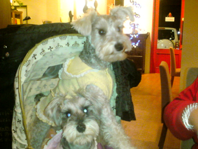 �����́u���^�r�N�v�i�������疺�j