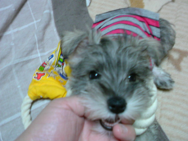 �����́u���^�r�N�v�i�������疺�j