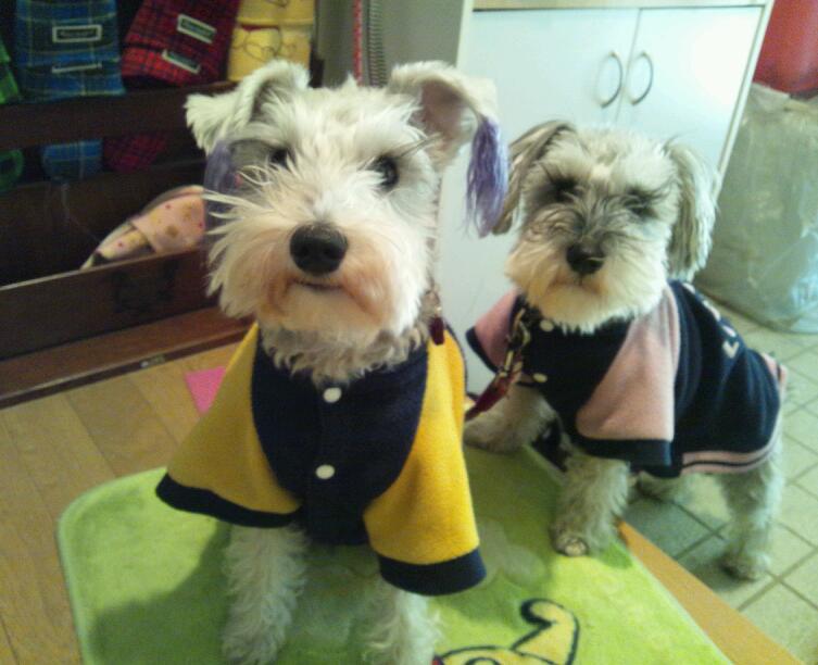 �����́u���^�r�N�v�i�������疺�j