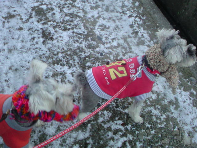 �����́u���^�r�N�v�i�������疺�j