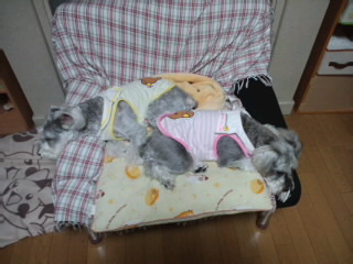 ́u^rNvi疺j