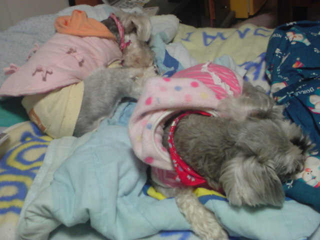 �����́u���^�r�N�v�i�������疺�j