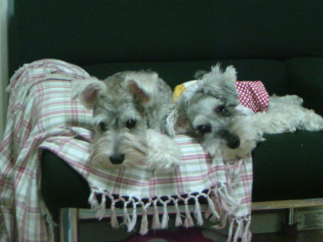 �����́u���^�r�N�v�i�������疺�j