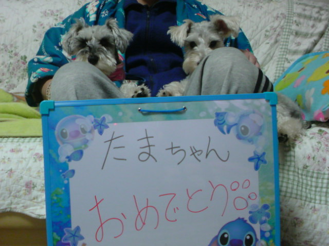 ́u^rNvi疺j