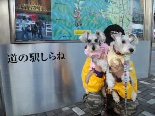 ́u^rNvi疺j