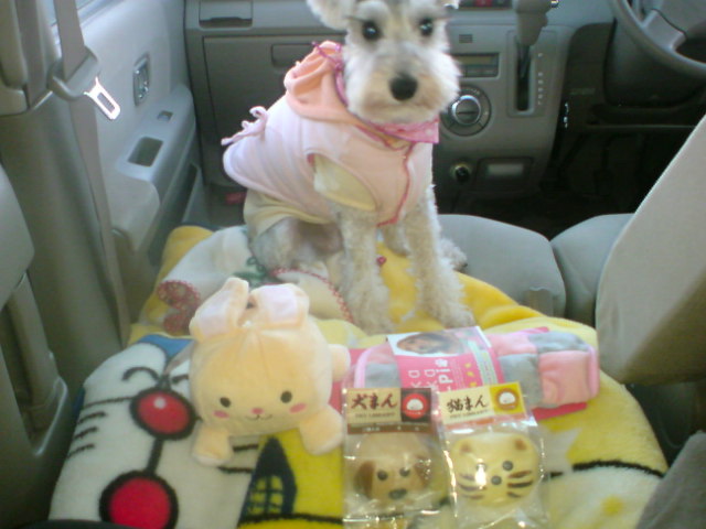 �����́u���^�r�N�v�i�������疺�j