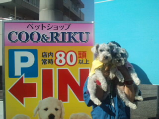 ́u^rNvi疺j
