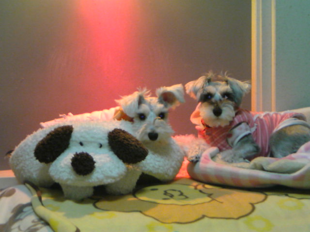 �����́u���^�r�N�v�i�������疺�j