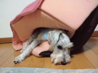 ́u^rNvi疺j