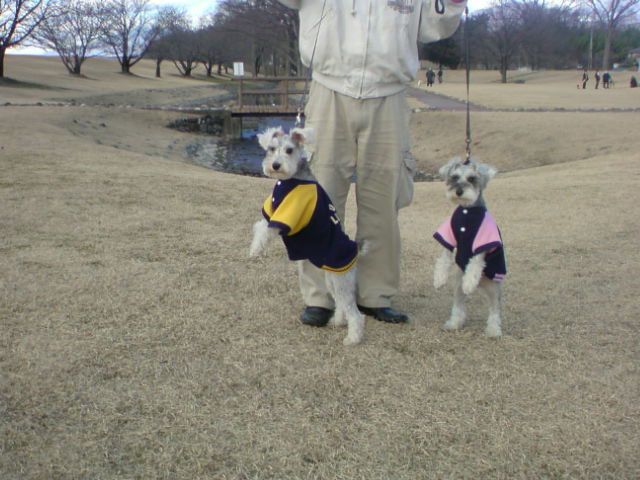 �����́u���^�r�N�v�i�������疺�j