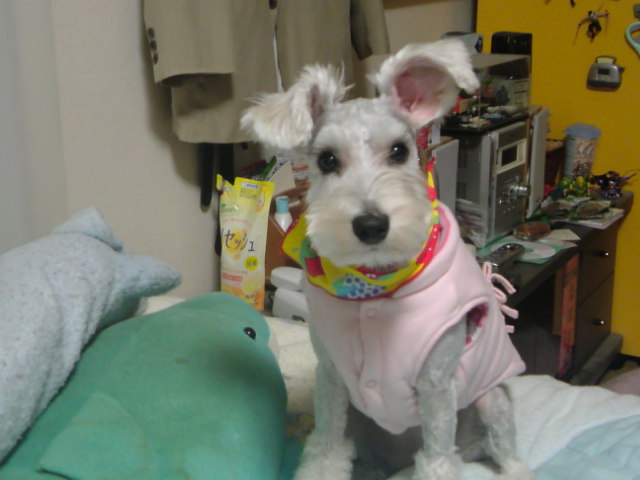 �����́u���^�r�N�v�i�������疺�j