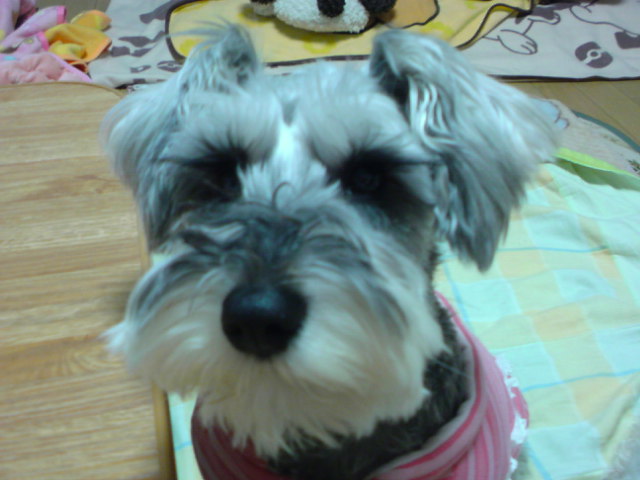 ́u^rNvi疺j