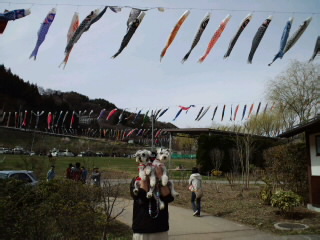 ́u^rNvi疺j