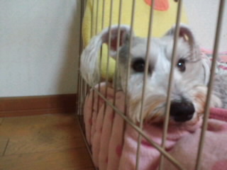 ́u^rNvi疺j
