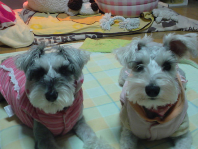 �����́u���^�r�N�v�i�������疺�j