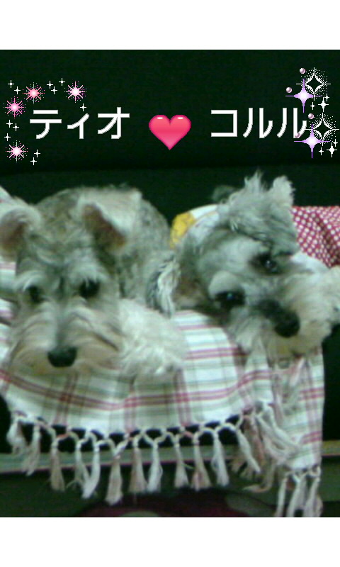 �����́u���^�r�N�v�i�������疺�j