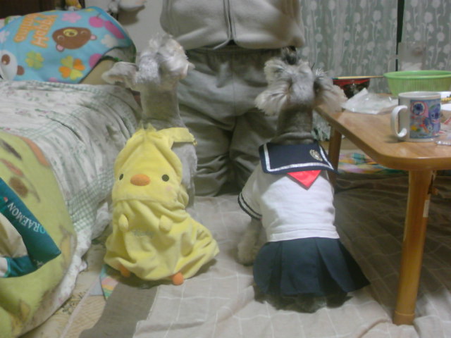 ́u^rNvi疺j