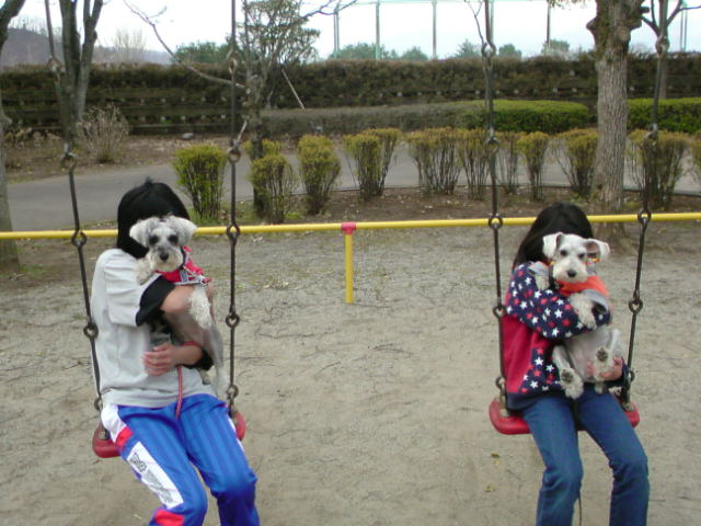 ́u^rNvi疺j