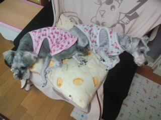 ́u^rNvi疺j