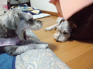 ́u^rNvi疺j