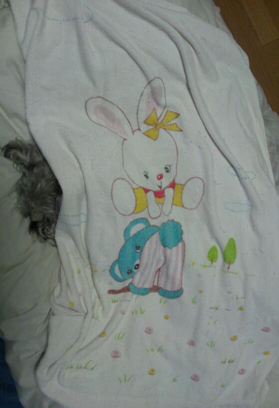 �����́u���^�r�N�v�i�������疺�j