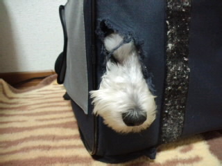 ́u^rNvi疺j