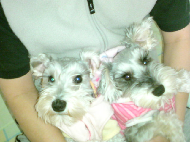 �����́u���^�r�N�v�i�������疺�j