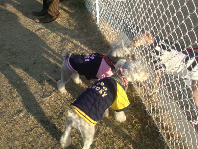 �����́u���^�r�N�v�i�������疺�j