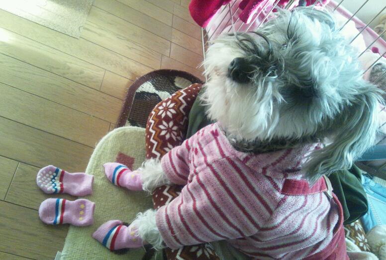 �����́u���^�r�N�v�i�������疺�j