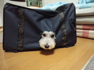 ́u^rNvi疺j