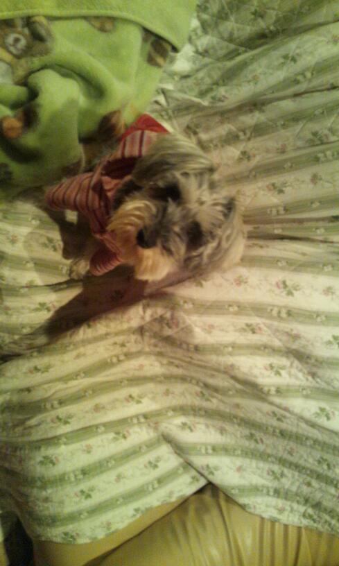 �����́u���^�r�N�v�i�������疺�j