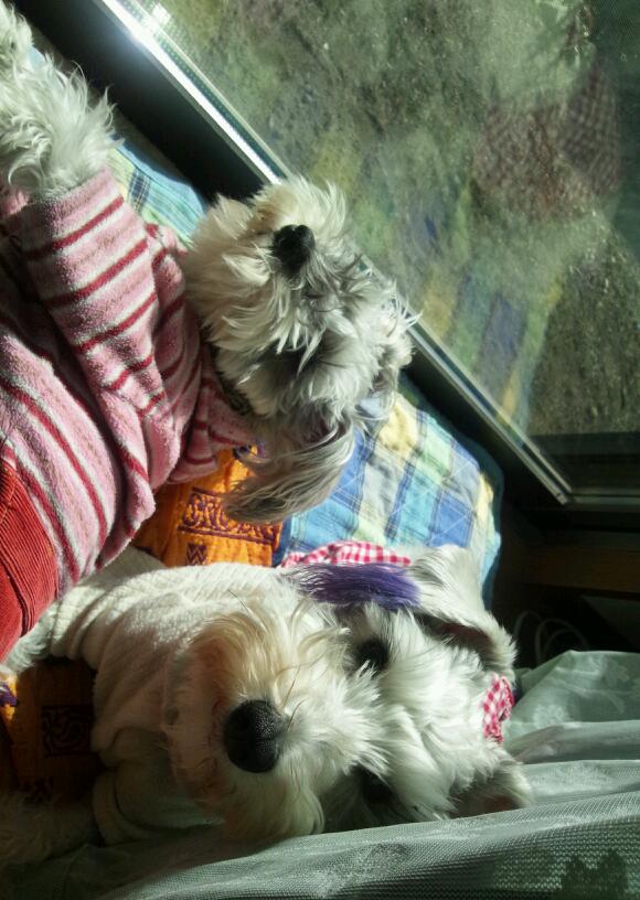 �����́u���^�r�N�v�i�������疺�j