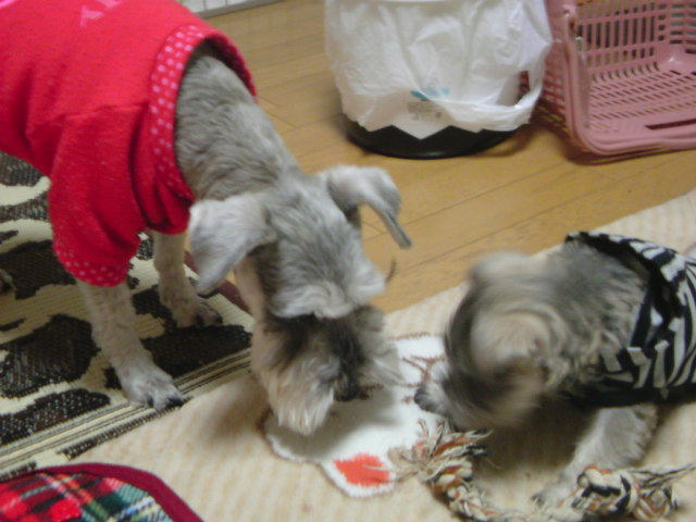 ́u^rNvi疺j