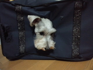 ́u^rNvi疺j