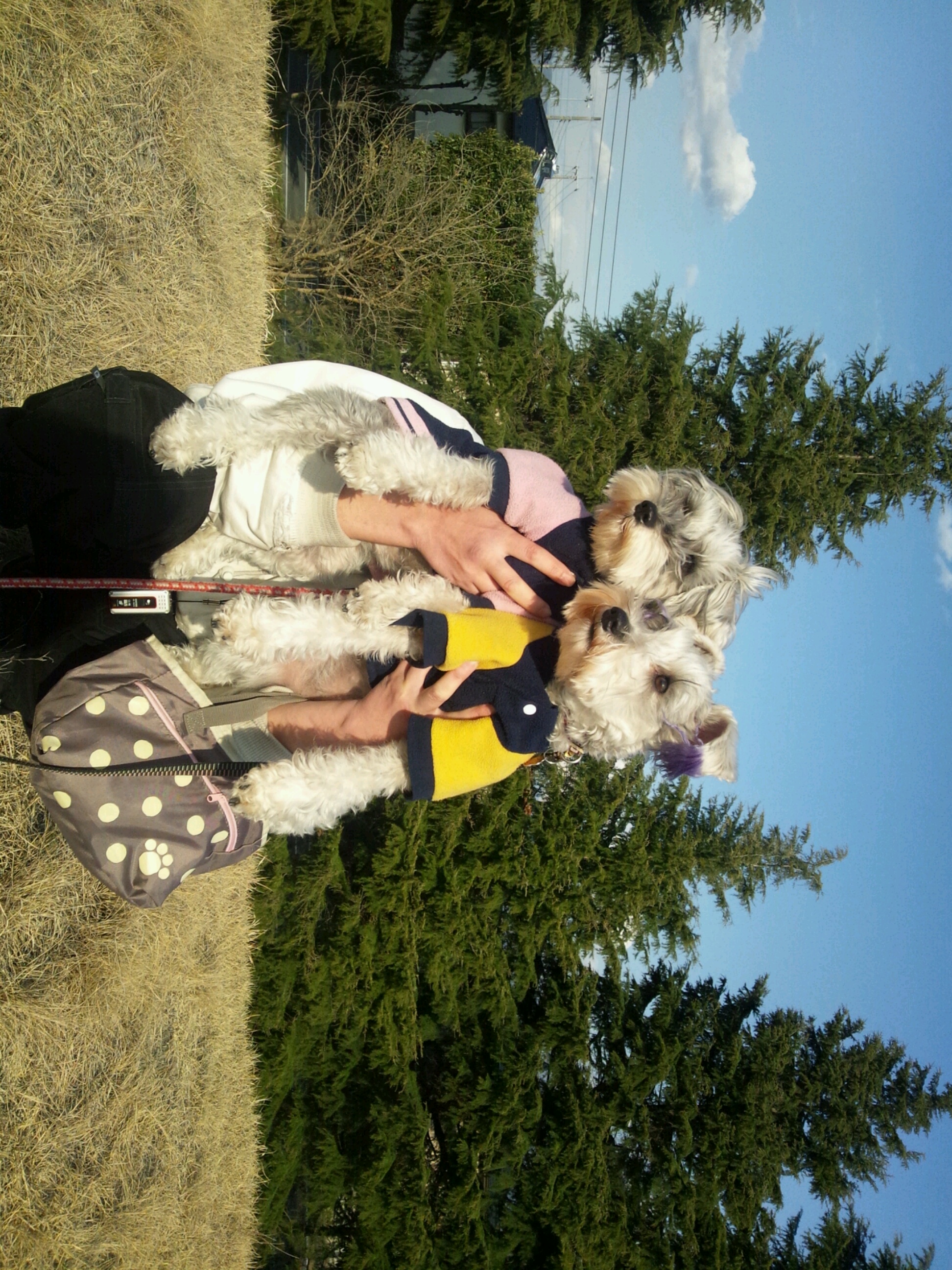 �����́u���^�r�N�v�i�������疺�j