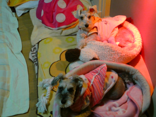 �����́u���^�r�N�v�i�������疺�j