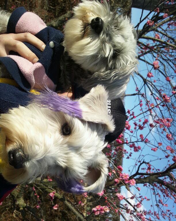 �����́u���^�r�N�v�i�������疺�j