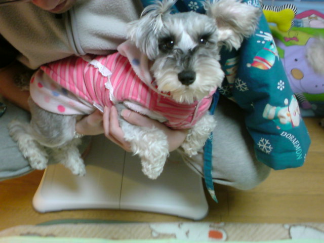 �����́u���^�r�N�v�i�������疺�j