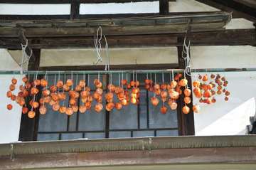 ���Ɛ��̖�؁E�ʕ�(by matu-chan)