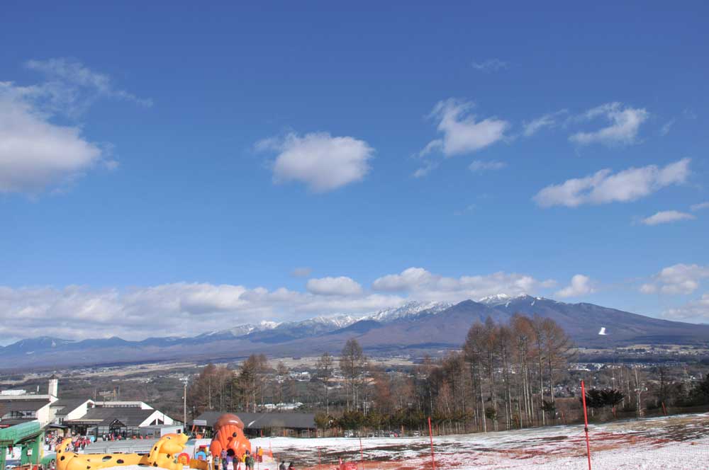 ���Ɛ��̖�؁E�ʕ�(by matu-chan)