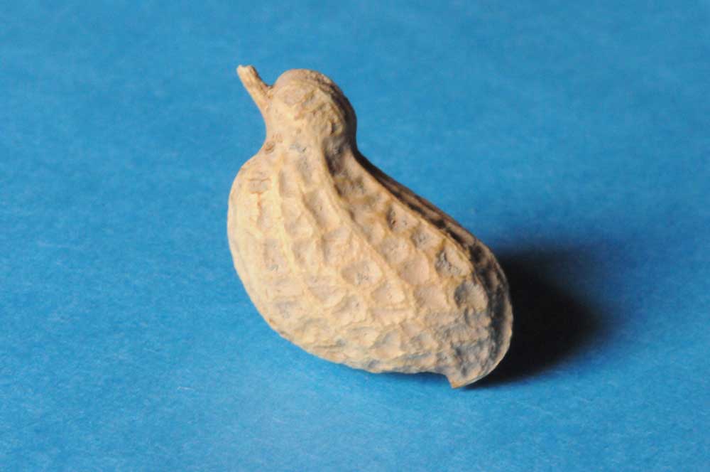 ���Ɛ��̖�؁E�ʕ�(by matu-chan)