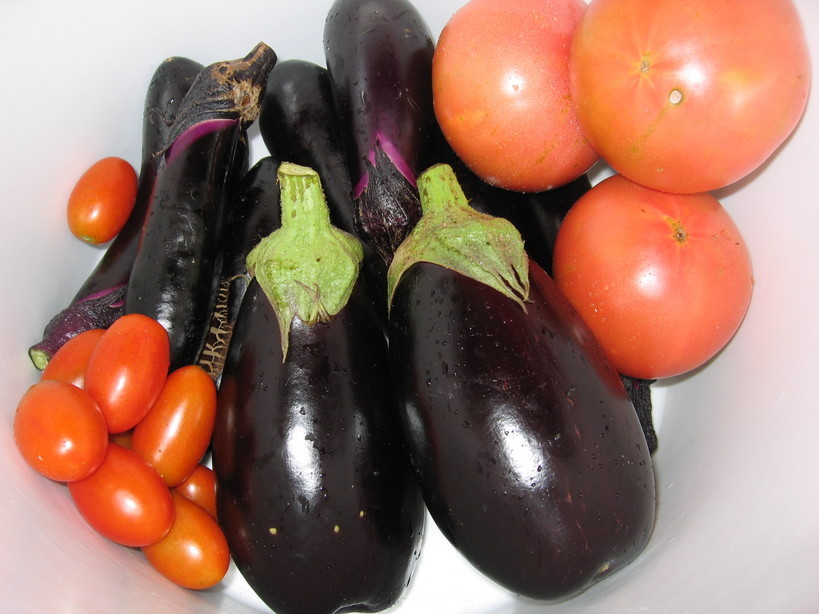 ���Ɛ��̖�؁E�ʕ�(by matu-chan)