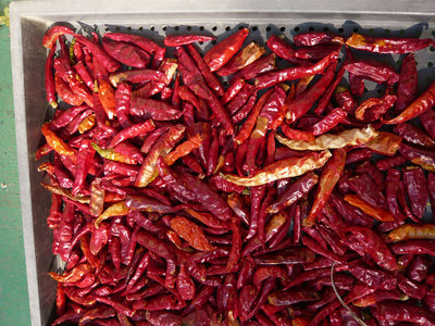 ���Ɛ��̖�؁E�ʕ�(by matu-chan)