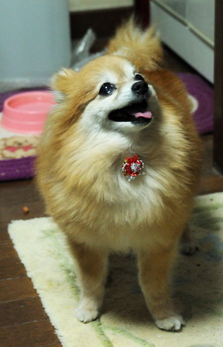 ���Ɛ��̖�؁E�ʕ�(by matu-chan)