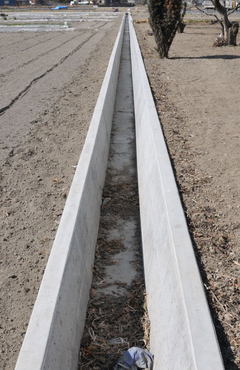 ���Ɛ��̖�؁E�ʕ�(by matu-chan)